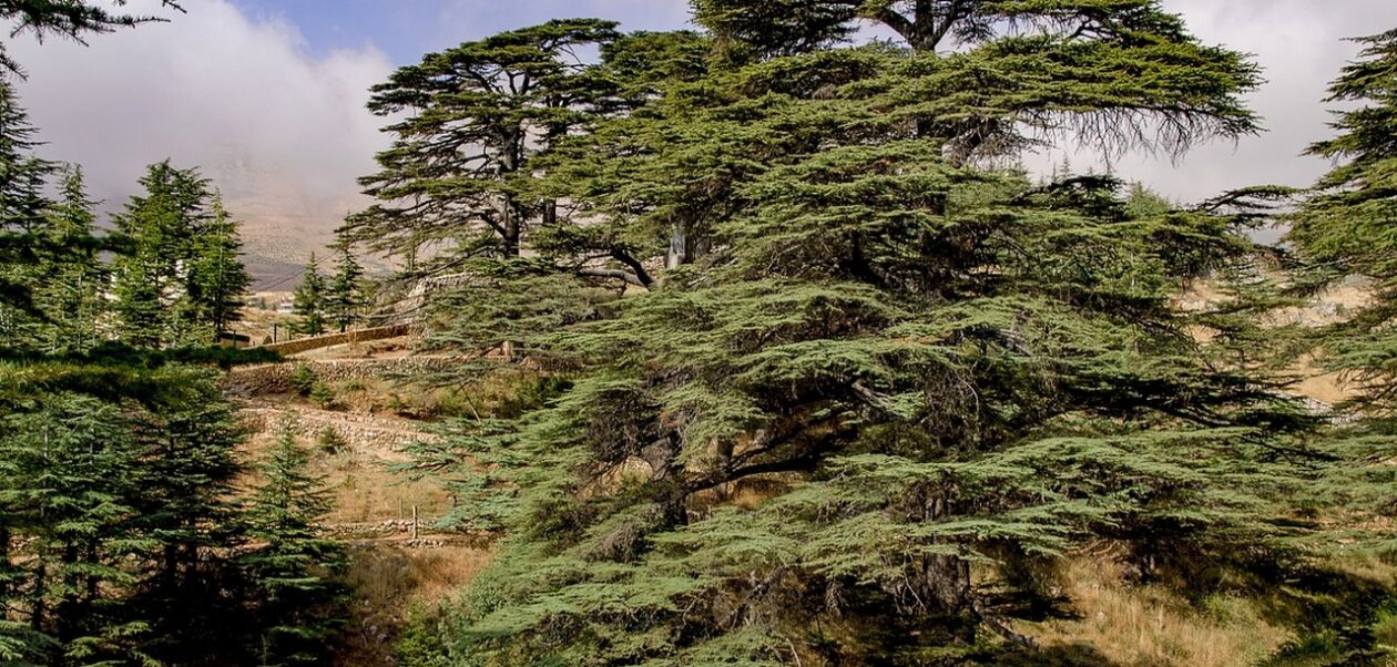 Mount Lebanon