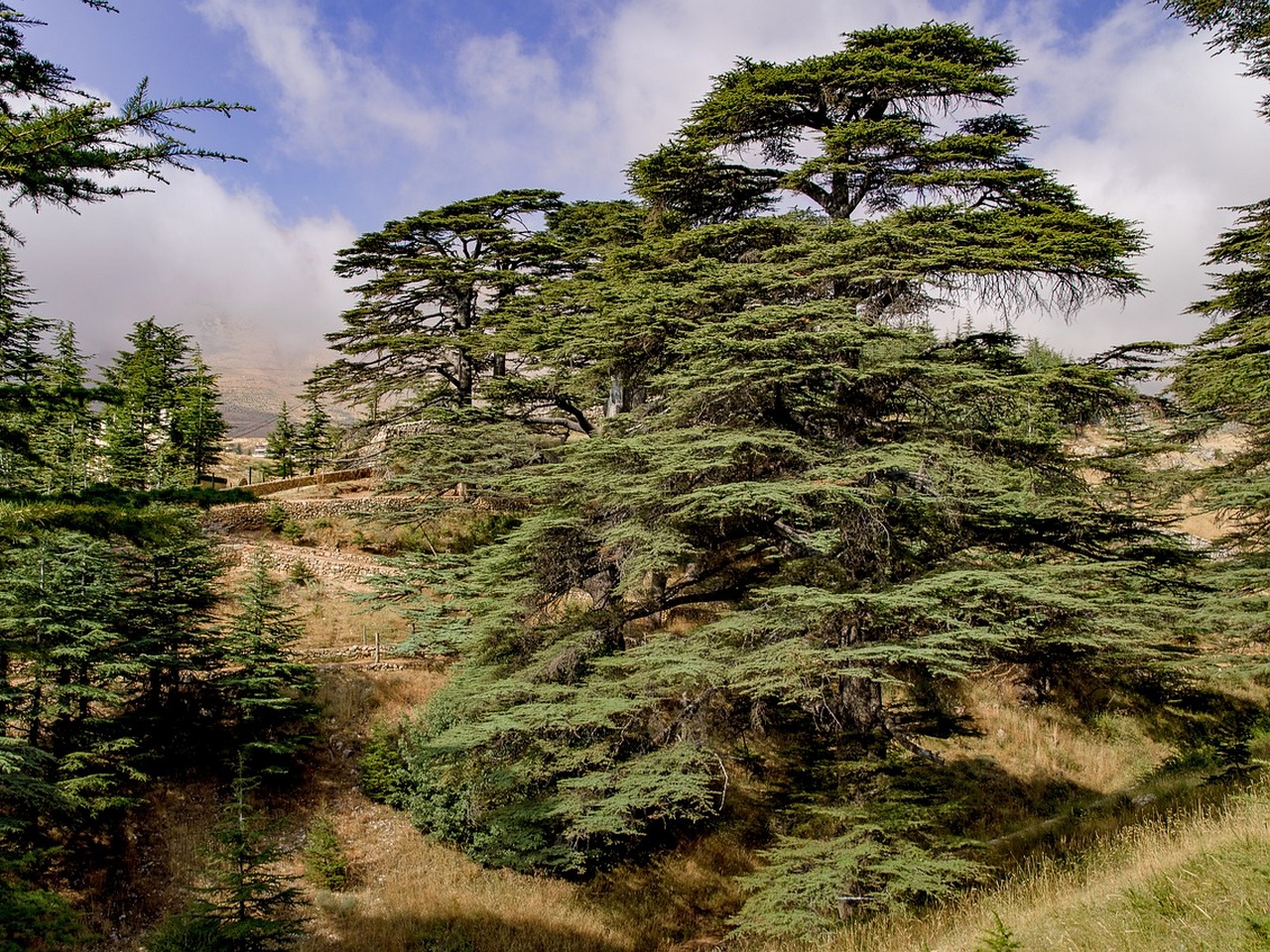 Mount Lebanon